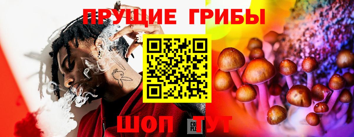 Галлюциногенные грибы GOLDEN TEACHER Клинцы